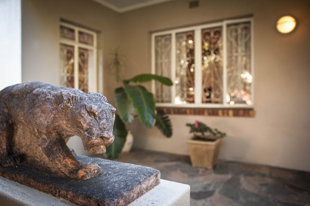 The Lions Guest House Cape Town Exterior photo