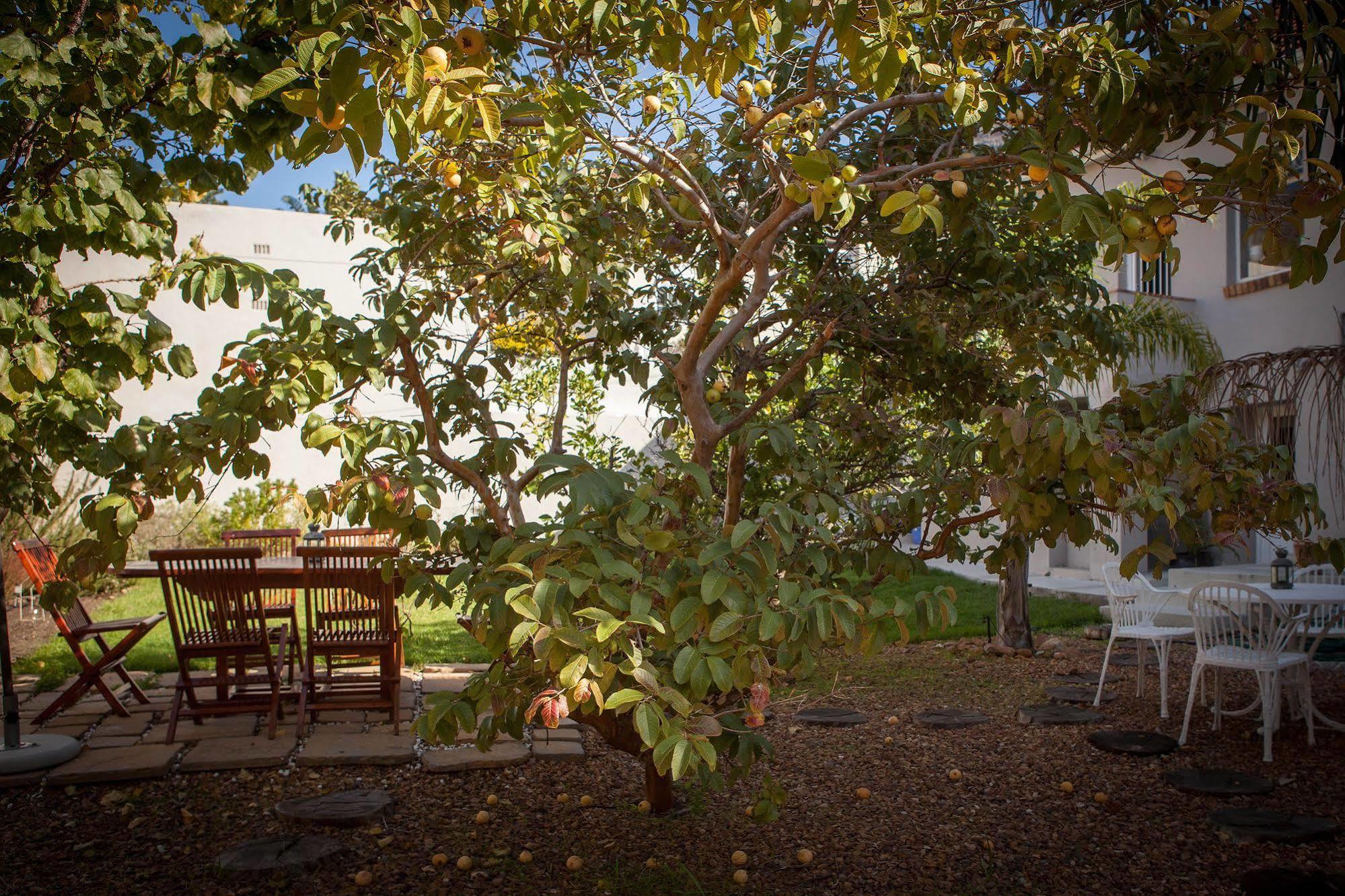 The Lions Guest House Cape Town Exterior photo