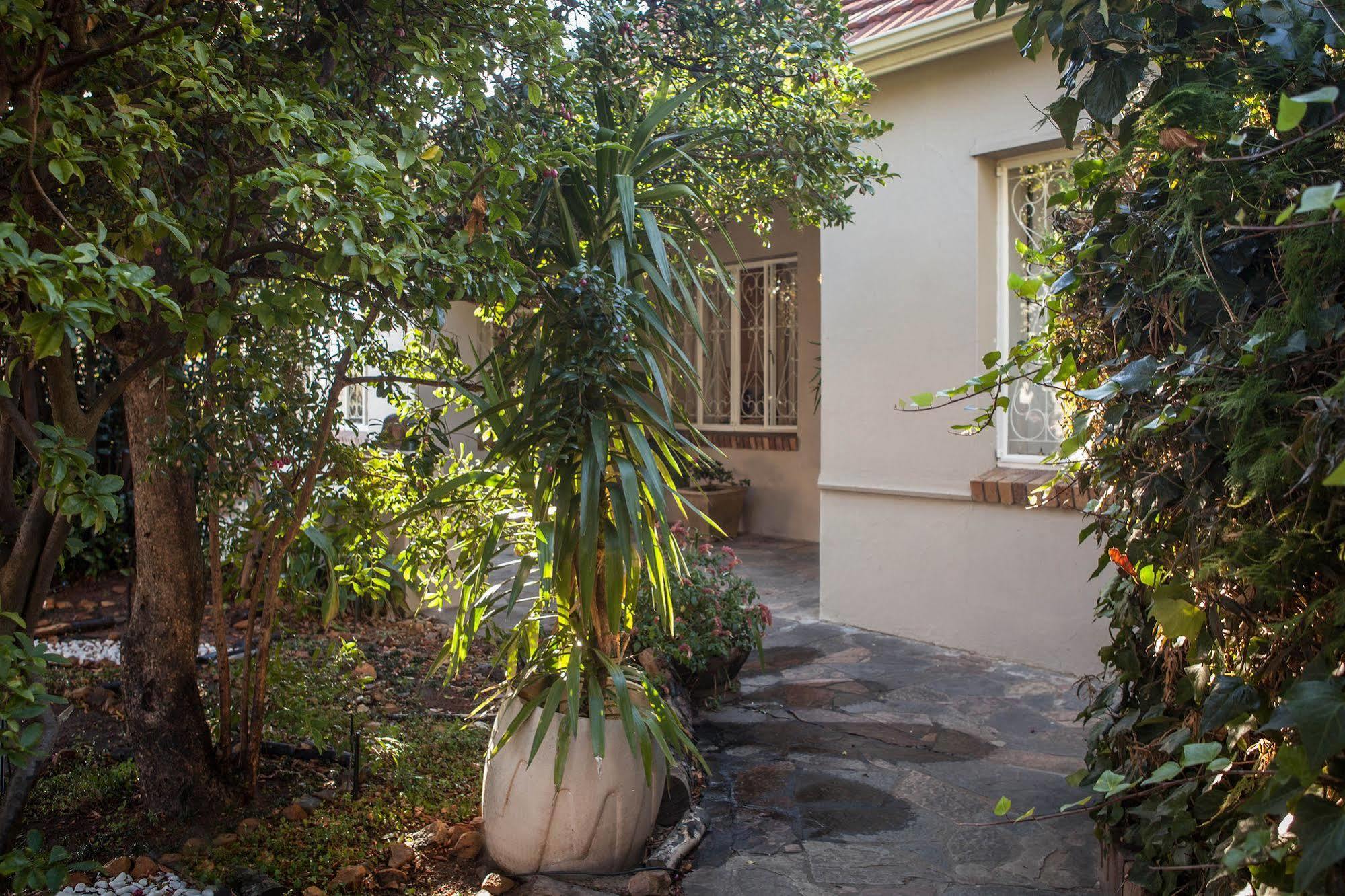 The Lions Guest House Cape Town Exterior photo